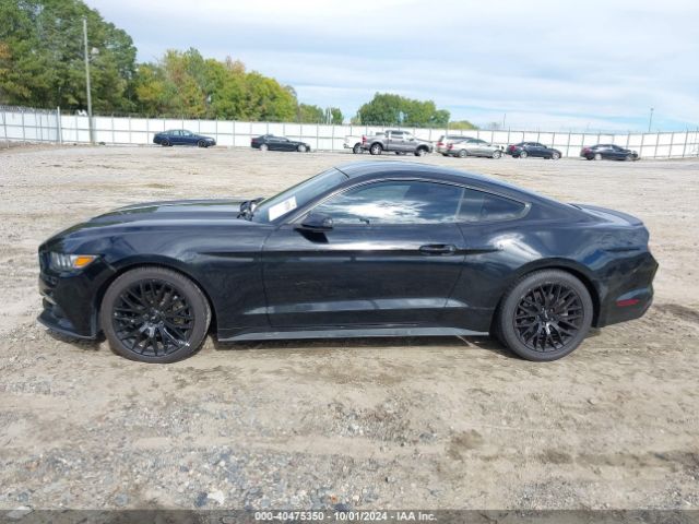 Photo 5 VIN: 1FA6P8TH7H5238423 - FORD MUSTANG 