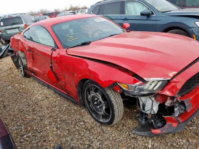 Photo 8 VIN: 1FA6P8TH7H5278887 - FORD MUSTANG 