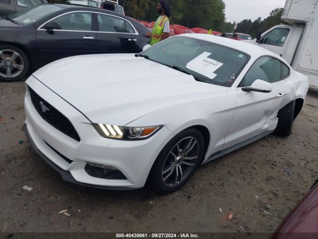 Photo 1 VIN: 1FA6P8TH7H5292692 - FORD MUSTANG 