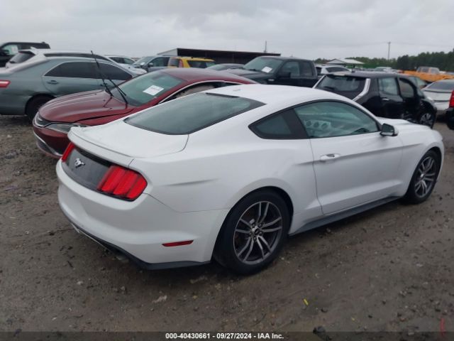 Photo 3 VIN: 1FA6P8TH7H5292692 - FORD MUSTANG 