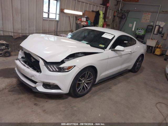 Photo 1 VIN: 1FA6P8TH7H5300922 - FORD MUSTANG 