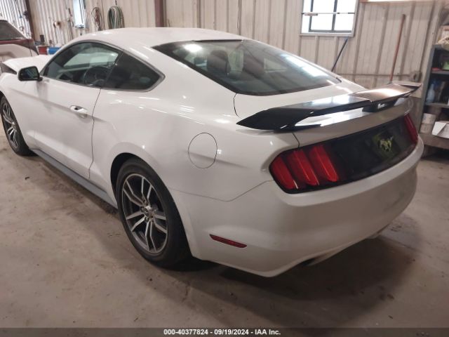 Photo 2 VIN: 1FA6P8TH7H5300922 - FORD MUSTANG 