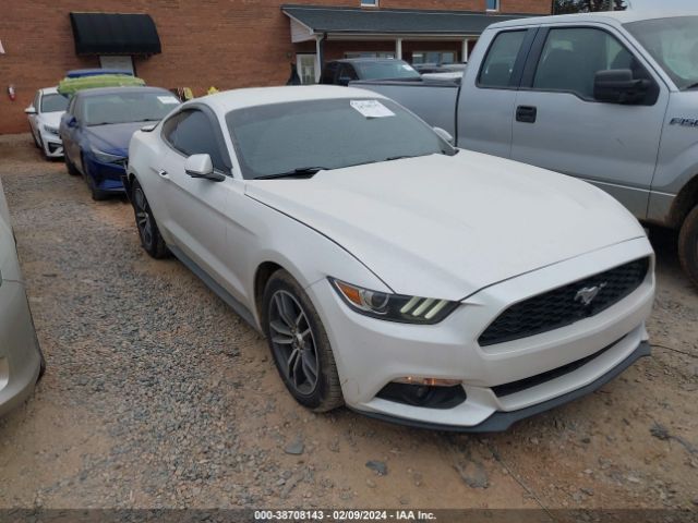 Photo 0 VIN: 1FA6P8TH7H5304937 - FORD MUSTANG 