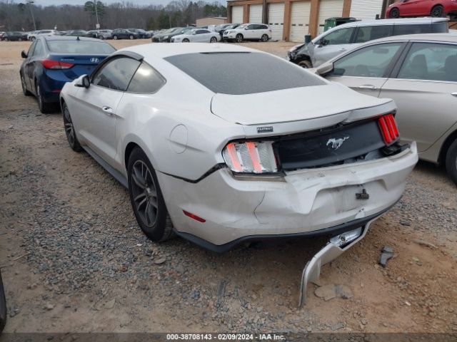 Photo 2 VIN: 1FA6P8TH7H5304937 - FORD MUSTANG 