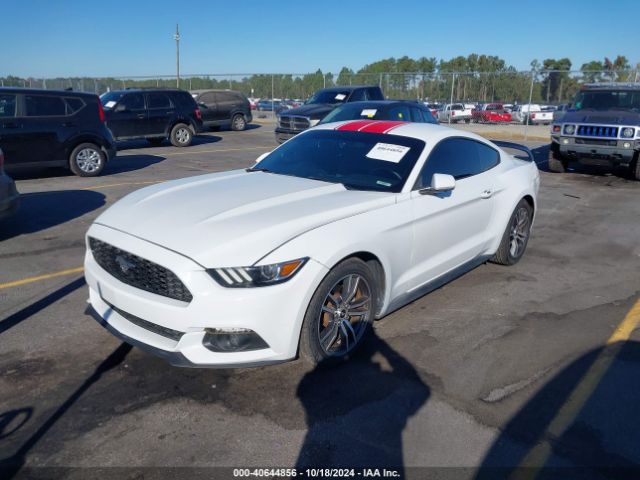 Photo 1 VIN: 1FA6P8TH7H5305487 - FORD MUSTANG 