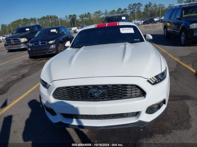 Photo 5 VIN: 1FA6P8TH7H5305487 - FORD MUSTANG 