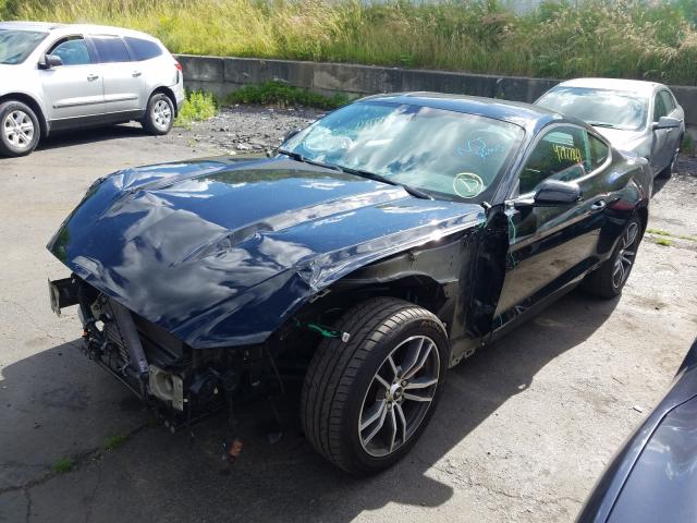 Photo 1 VIN: 1FA6P8TH7H5310835 - FORD MUSTANG 