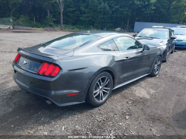 Photo 3 VIN: 1FA6P8TH7H5321852 - FORD MUSTANG 