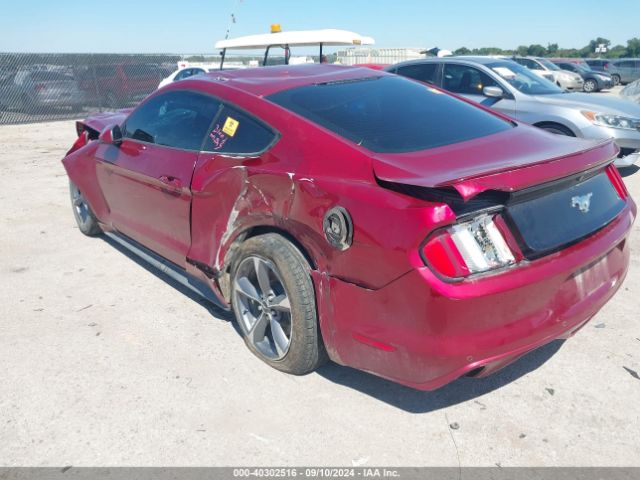 Photo 2 VIN: 1FA6P8TH7H5333533 - FORD MUSTANG 