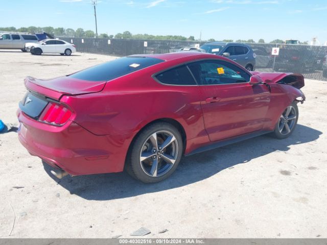 Photo 3 VIN: 1FA6P8TH7H5333533 - FORD MUSTANG 