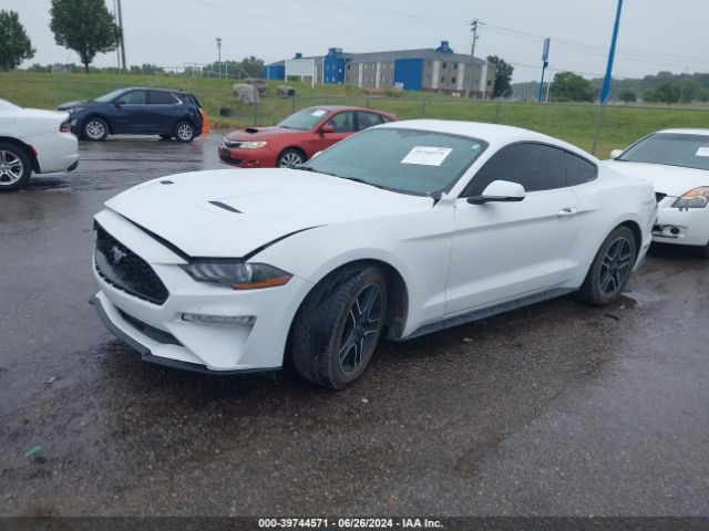 Photo 1 VIN: 1FA6P8TH7J5156102 - FORD MUSTANG 