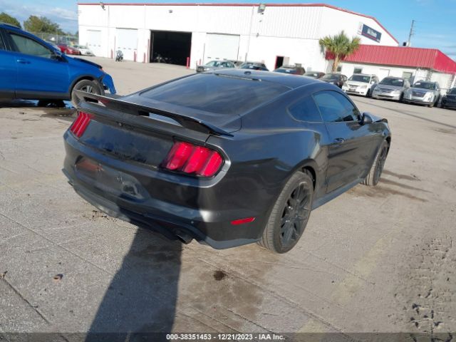 Photo 3 VIN: 1FA6P8TH7K5152519 - FORD MUSTANG 