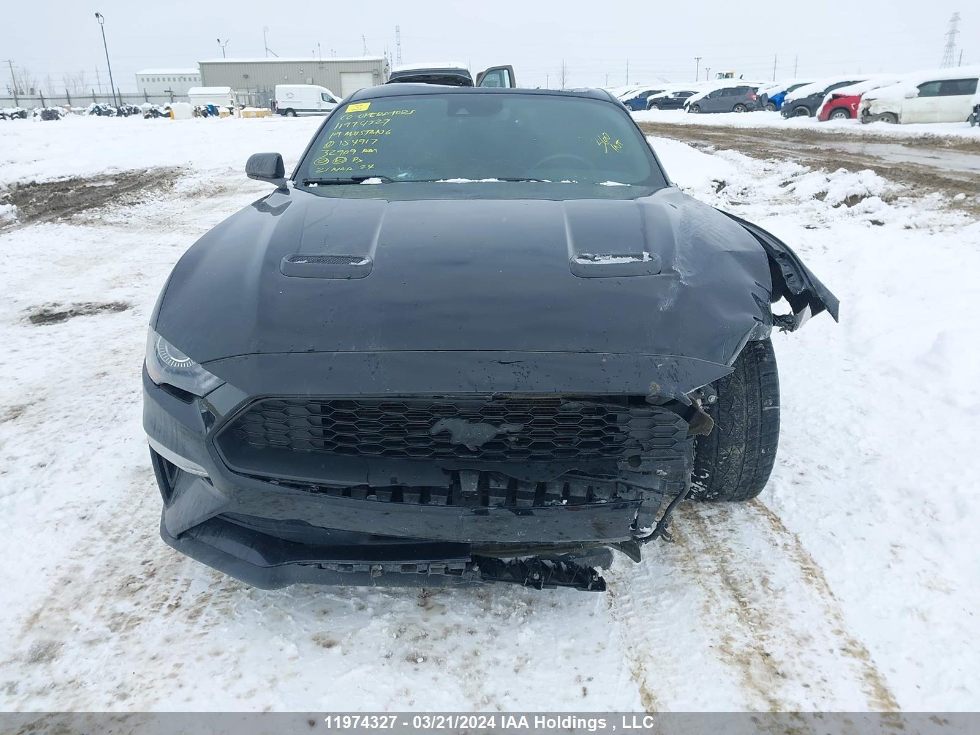 Photo 11 VIN: 1FA6P8TH7K5154917 - FORD MUSTANG 