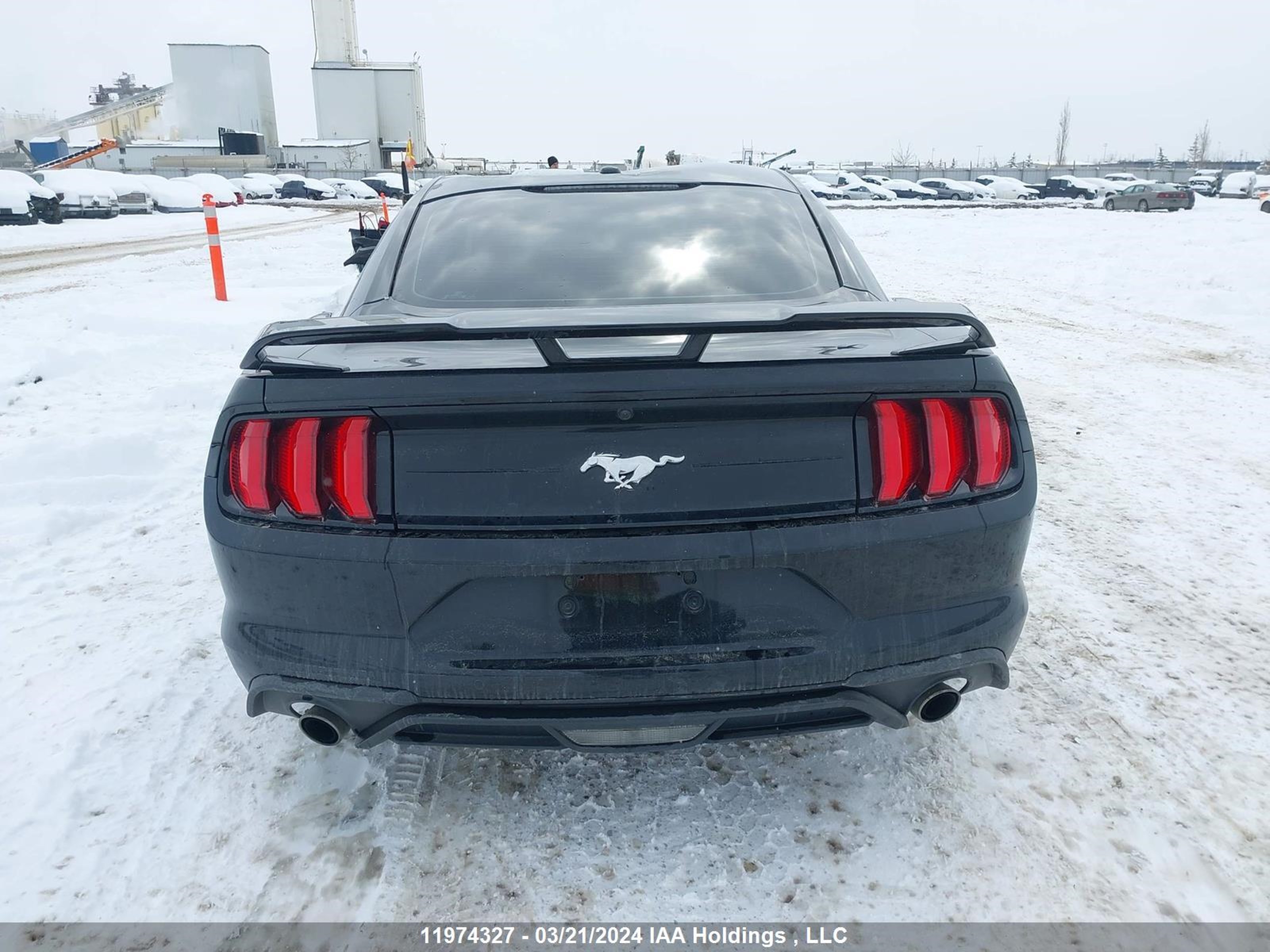 Photo 15 VIN: 1FA6P8TH7K5154917 - FORD MUSTANG 