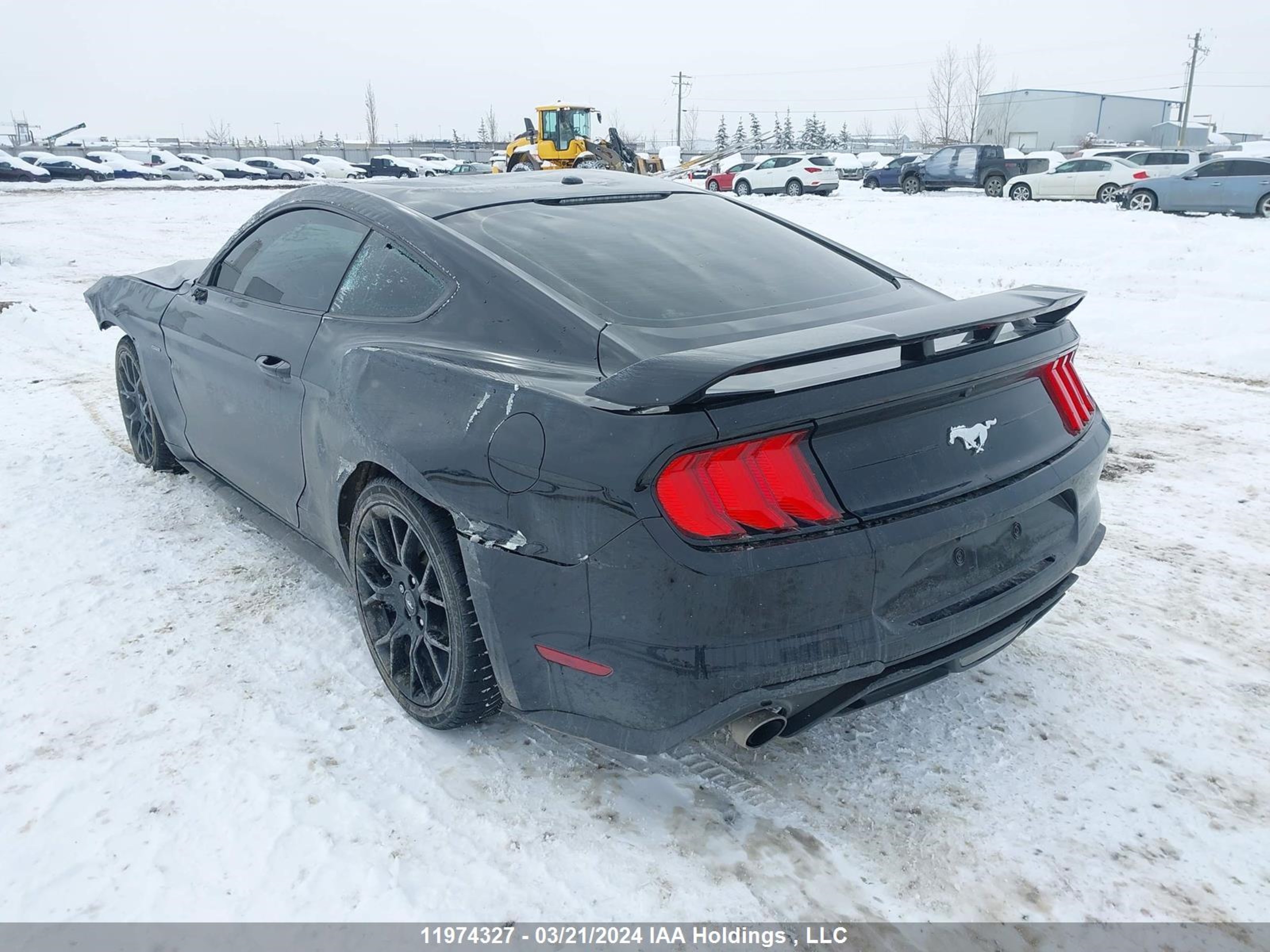 Photo 2 VIN: 1FA6P8TH7K5154917 - FORD MUSTANG 