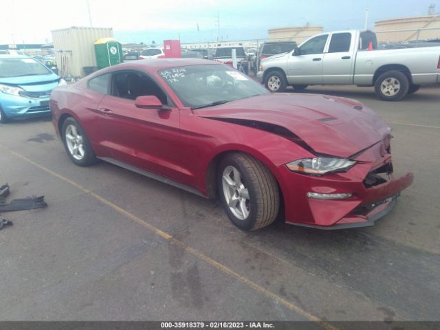 Photo 0 VIN: 1FA6P8TH7K5184659 - FORD MUSTANG 