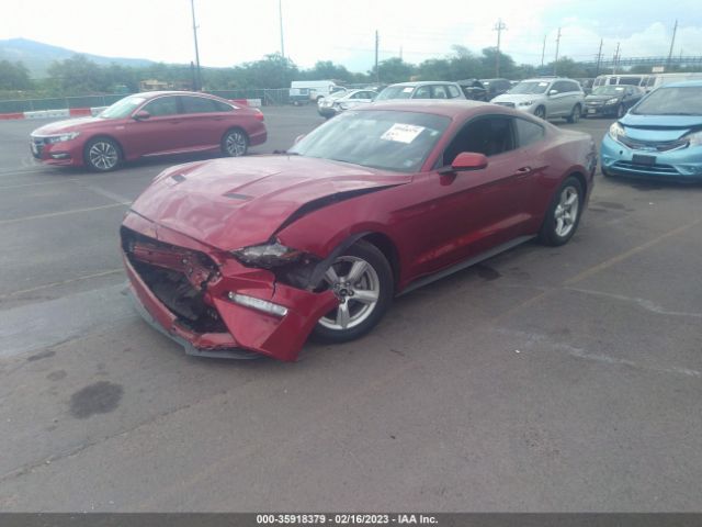 Photo 1 VIN: 1FA6P8TH7K5184659 - FORD MUSTANG 