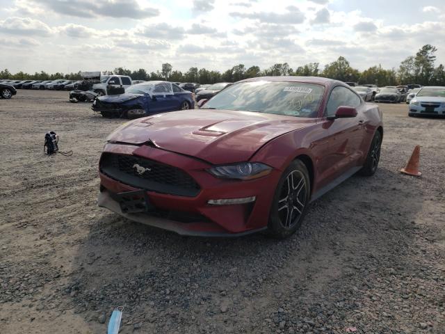 Photo 1 VIN: 1FA6P8TH7K5203419 - FORD MUSTANG 