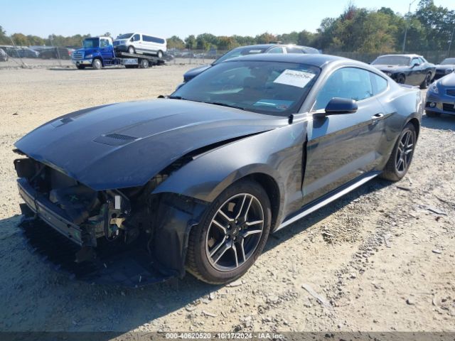 Photo 1 VIN: 1FA6P8TH7L5120123 - FORD MUSTANG 