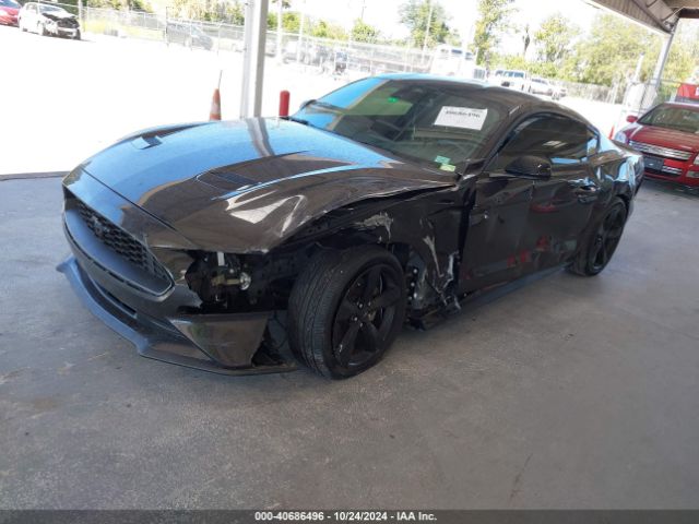 Photo 1 VIN: 1FA6P8TH7N5108489 - FORD MUSTANG 