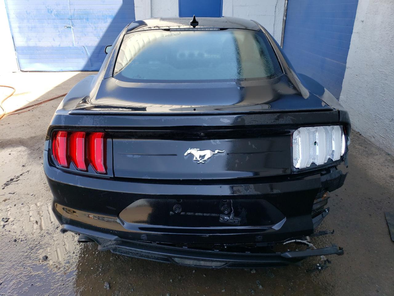 Photo 5 VIN: 1FA6P8TH7P5105742 - FORD MUSTANG 