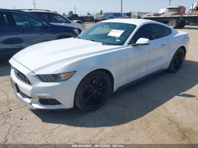 Photo 1 VIN: 1FA6P8TH8F5314101 - FORD MUSTANG 