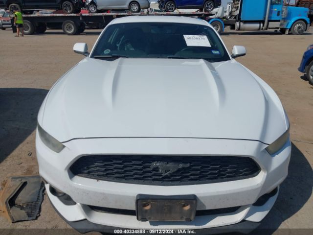 Photo 5 VIN: 1FA6P8TH8F5314101 - FORD MUSTANG 