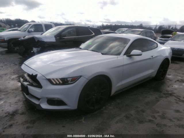 Photo 1 VIN: 1FA6P8TH8F5316480 - FORD MUSTANG 