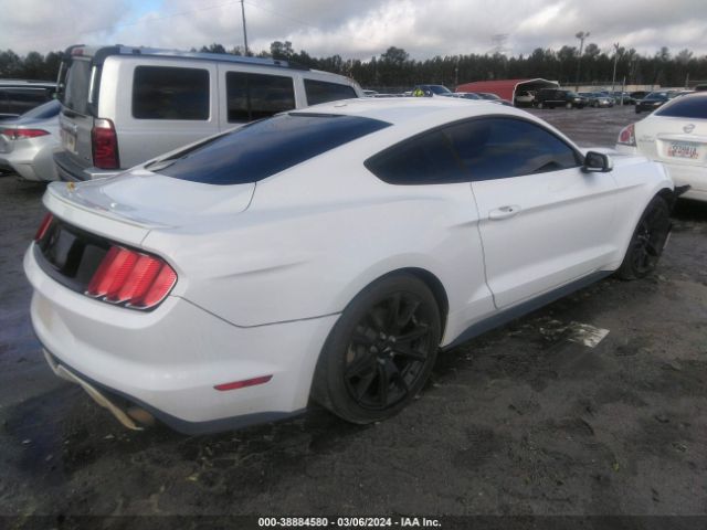 Photo 3 VIN: 1FA6P8TH8F5316480 - FORD MUSTANG 