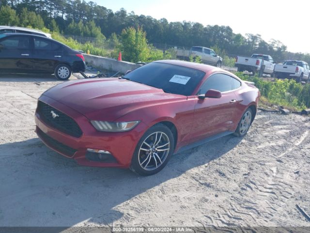 Photo 1 VIN: 1FA6P8TH8F5323218 - FORD MUSTANG 