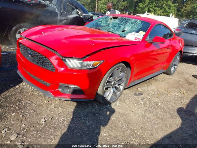 Photo 1 VIN: 1FA6P8TH8F5331836 - FORD MUSTANG 