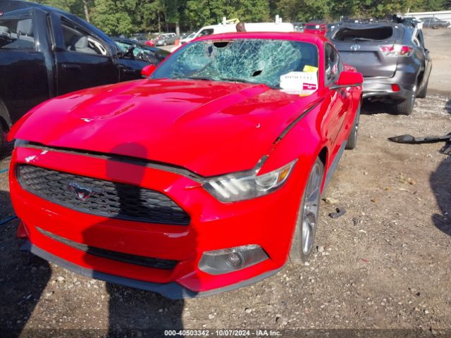 Photo 5 VIN: 1FA6P8TH8F5331836 - FORD MUSTANG 