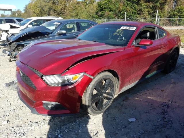 Photo 1 VIN: 1FA6P8TH8F5341055 - FORD MUSTANG 