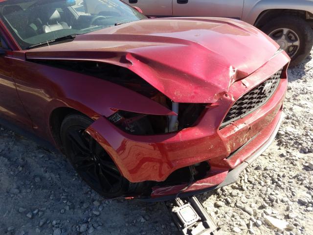 Photo 8 VIN: 1FA6P8TH8F5341055 - FORD MUSTANG 