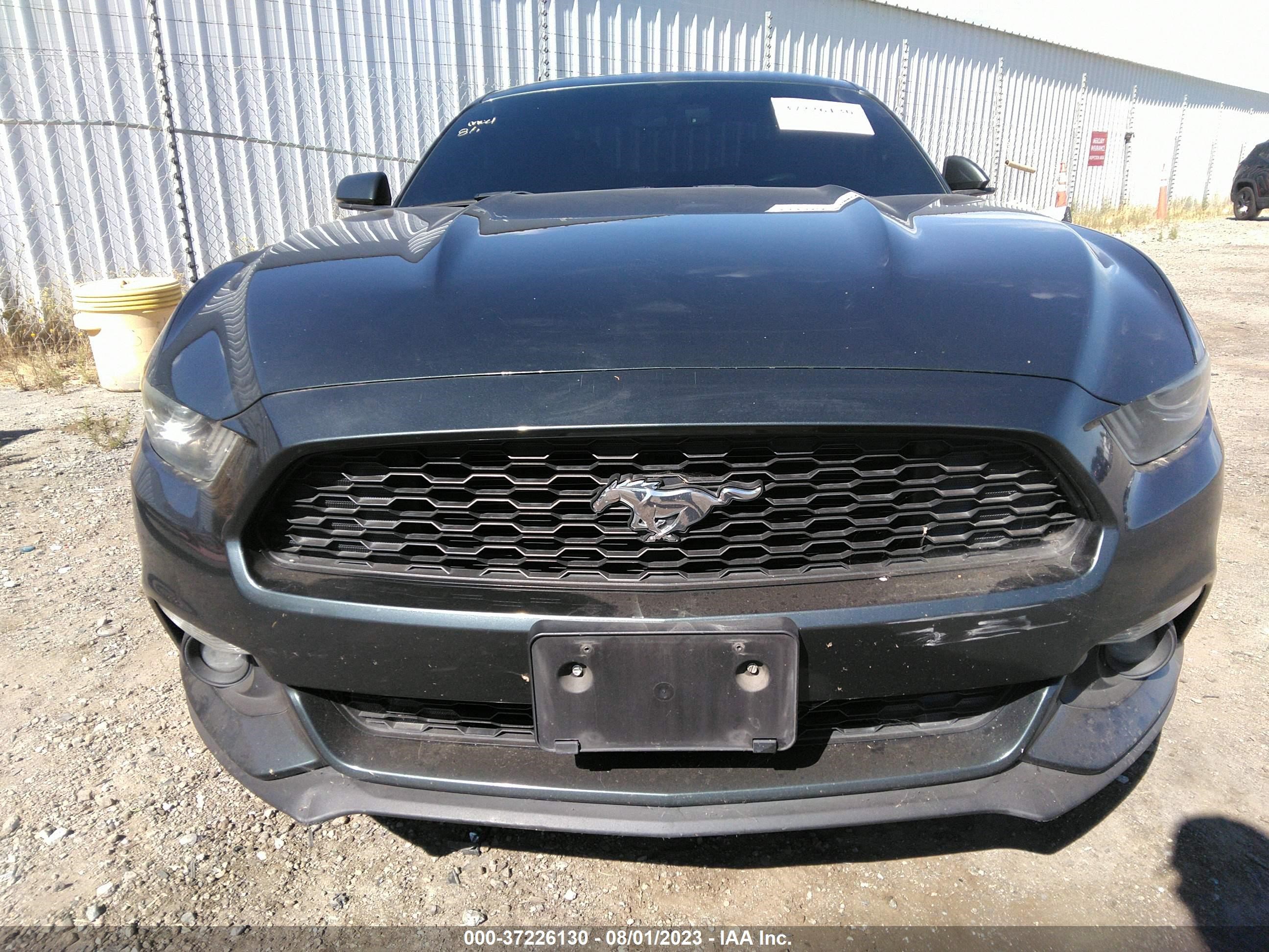 Photo 10 VIN: 1FA6P8TH8F5355618 - FORD MUSTANG 