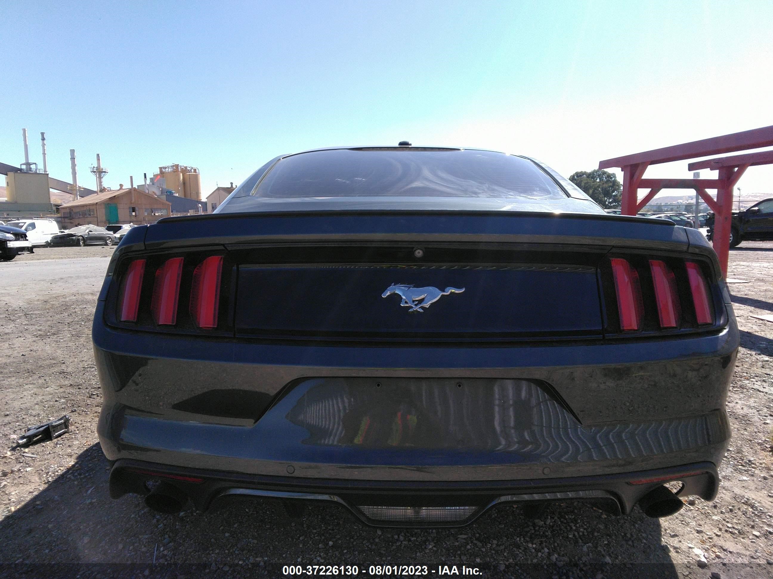 Photo 14 VIN: 1FA6P8TH8F5355618 - FORD MUSTANG 