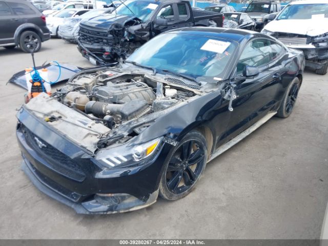 Photo 1 VIN: 1FA6P8TH8F5370989 - FORD MUSTANG 