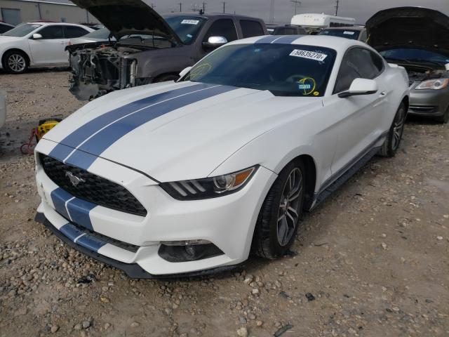 Photo 1 VIN: 1FA6P8TH8F5385699 - FORD MUSTANG 