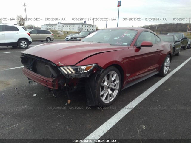 Photo 1 VIN: 1FA6P8TH8F5401965 - FORD MUSTANG 