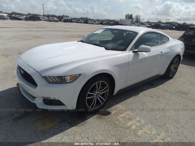 Photo 1 VIN: 1FA6P8TH8G5210435 - FORD MUSTANG 