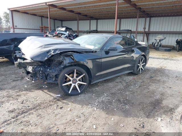 Photo 1 VIN: 1FA6P8TH8G5244729 - FORD MUSTANG 