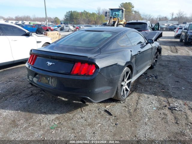 Photo 3 VIN: 1FA6P8TH8G5244729 - FORD MUSTANG 