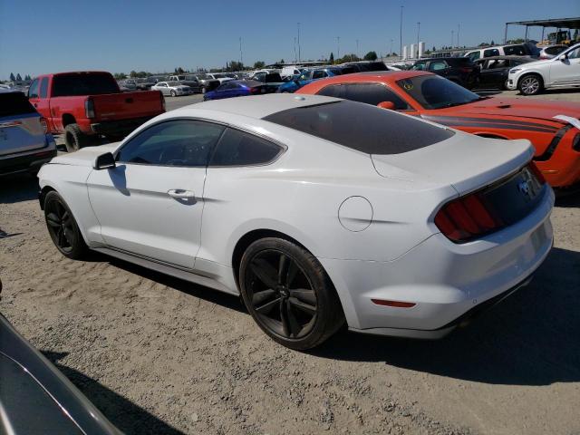 Photo 1 VIN: 1FA6P8TH8G5269243 - FORD MUSTANG 