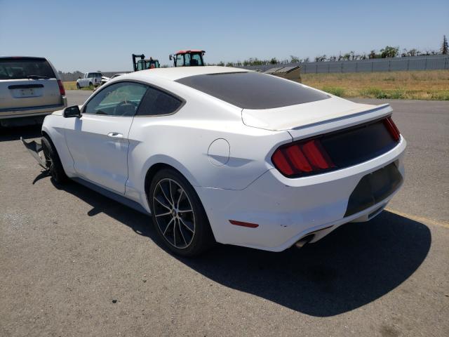 Photo 2 VIN: 1FA6P8TH8G5306890 - FORD MUSTANG 