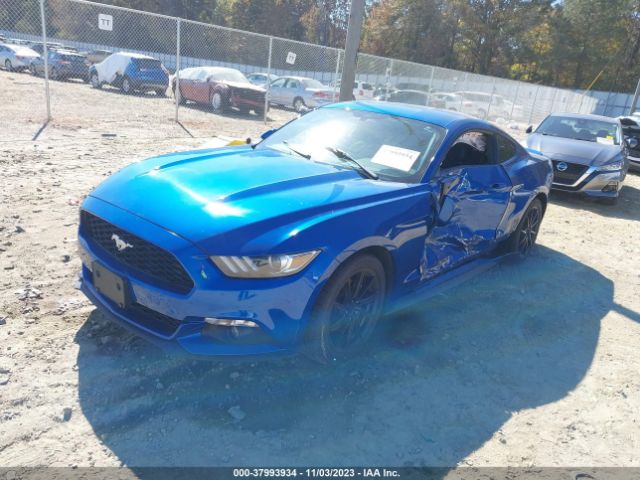 Photo 1 VIN: 1FA6P8TH8H5209495 - FORD MUSTANG 