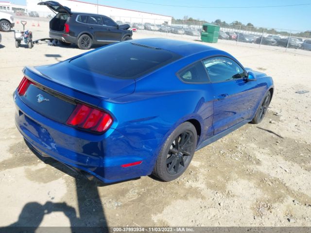 Photo 3 VIN: 1FA6P8TH8H5209495 - FORD MUSTANG 