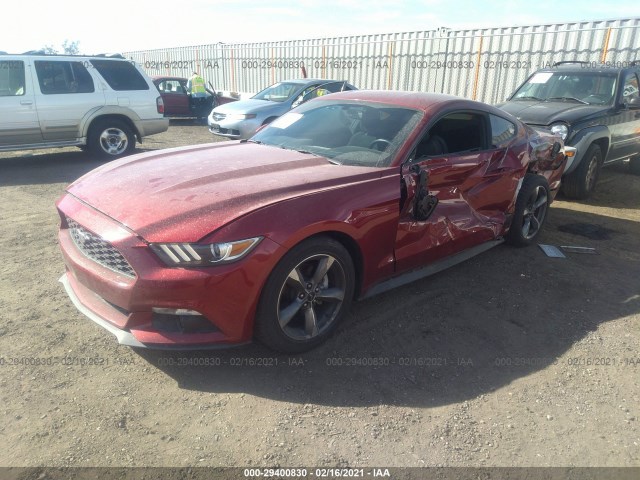 Photo 1 VIN: 1FA6P8TH8H5217791 - FORD MUSTANG 