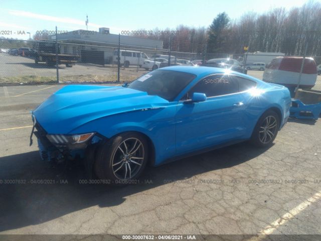 Photo 1 VIN: 1FA6P8TH8H5238253 - FORD MUSTANG 