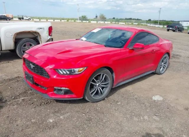 Photo 1 VIN: 1FA6P8TH8H5256932 - FORD MUSTANG 