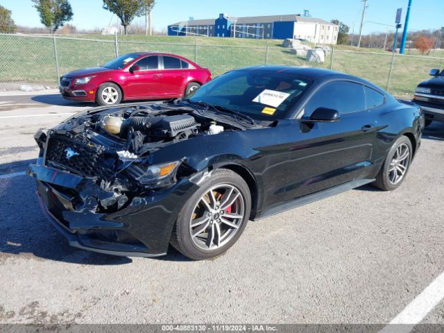 Photo 1 VIN: 1FA6P8TH8H5265842 - FORD MUSTANG 